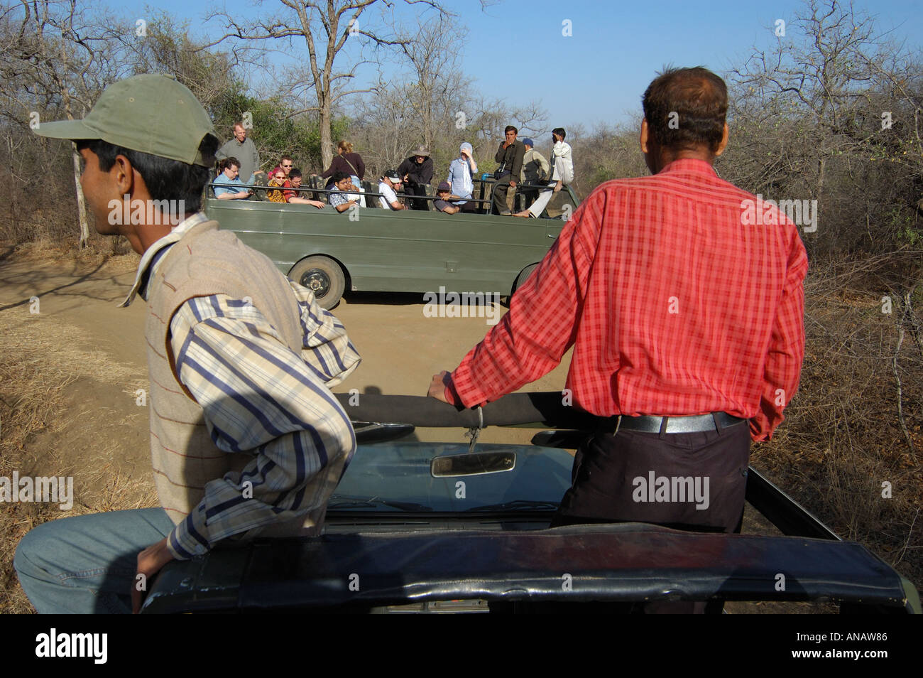 Guide alla ricerca di tigri nel Ranthambhore Tiger Park. India Foto Stock