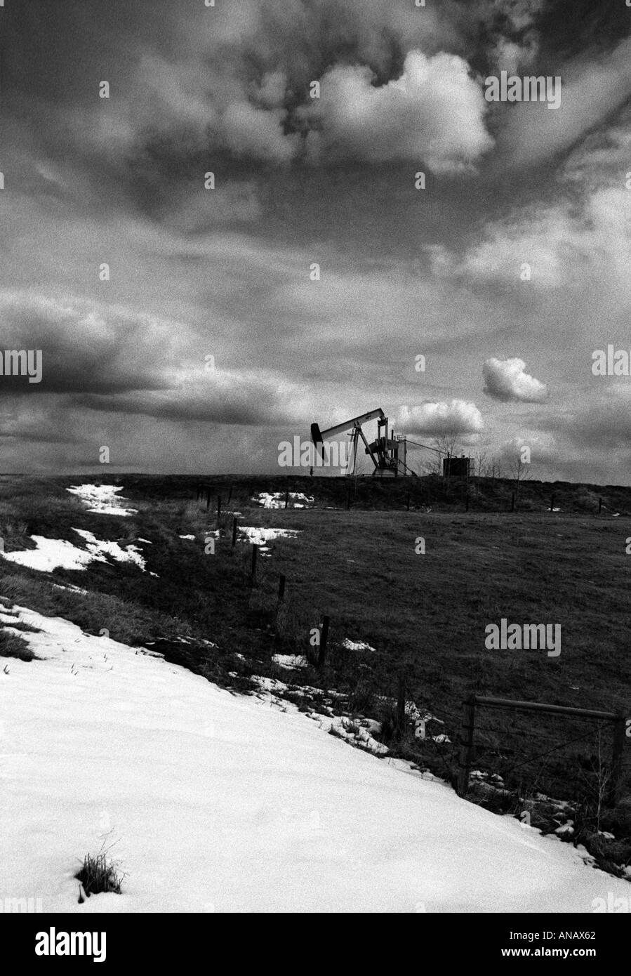 In Canada. Olio di lavoro asino in un paesaggio innevato Foto Stock
