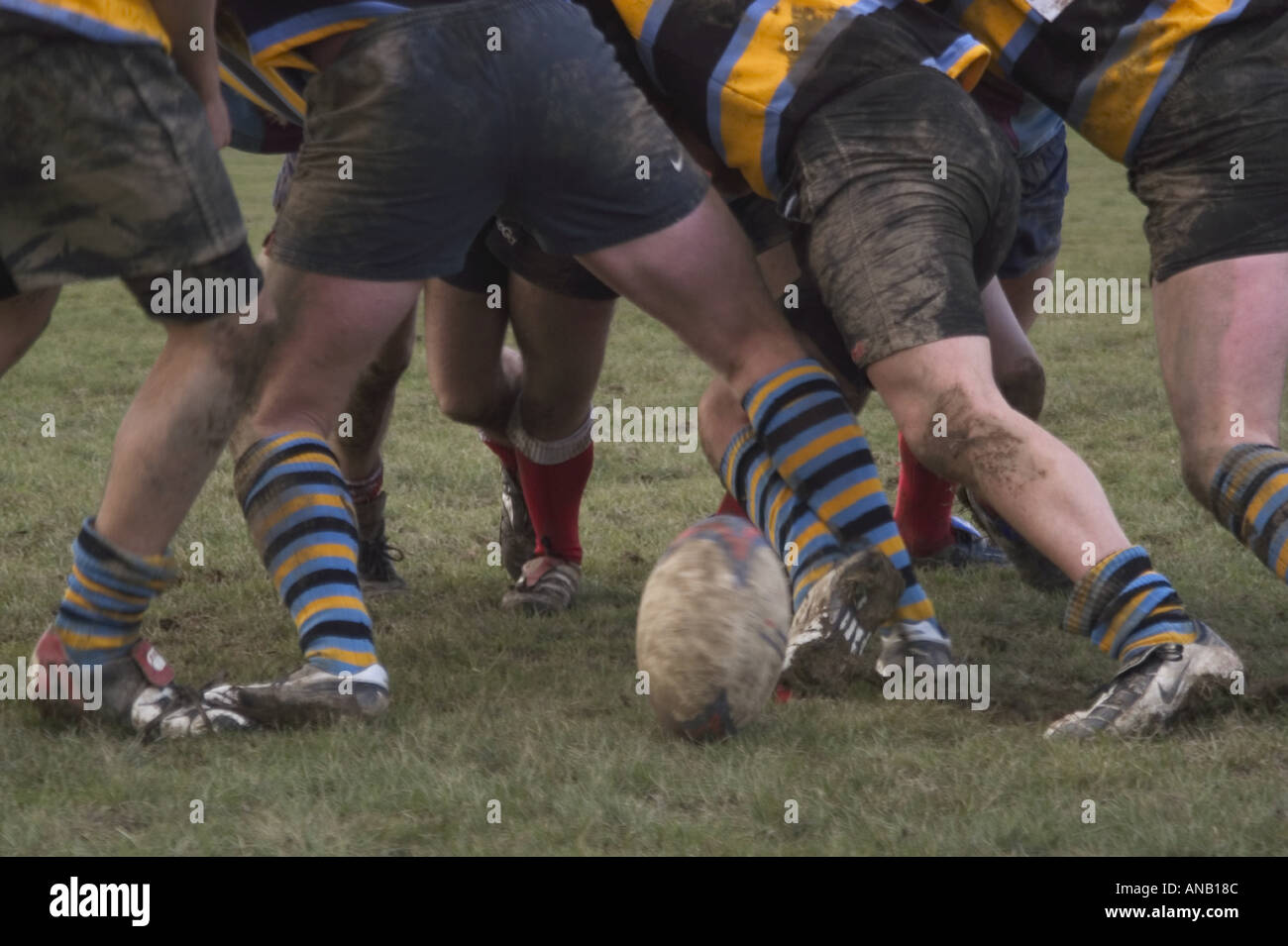 3346 Rugby Foto Stock