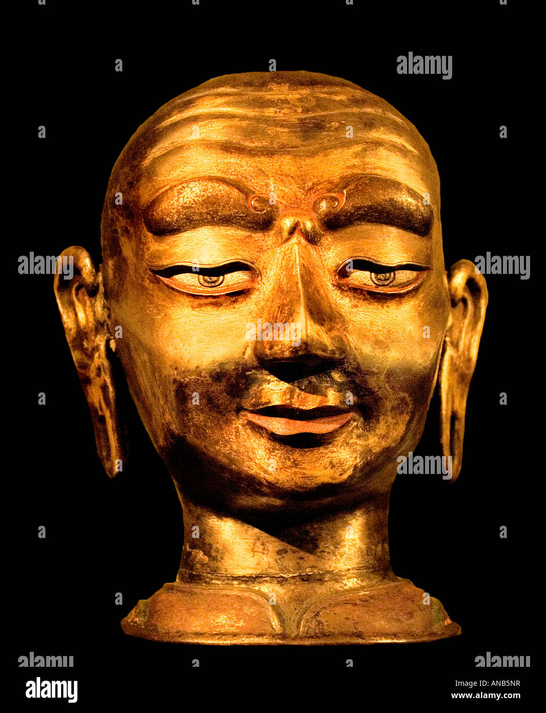 La testa di un monaco tibetano XVII XVIII secolo Foto Stock