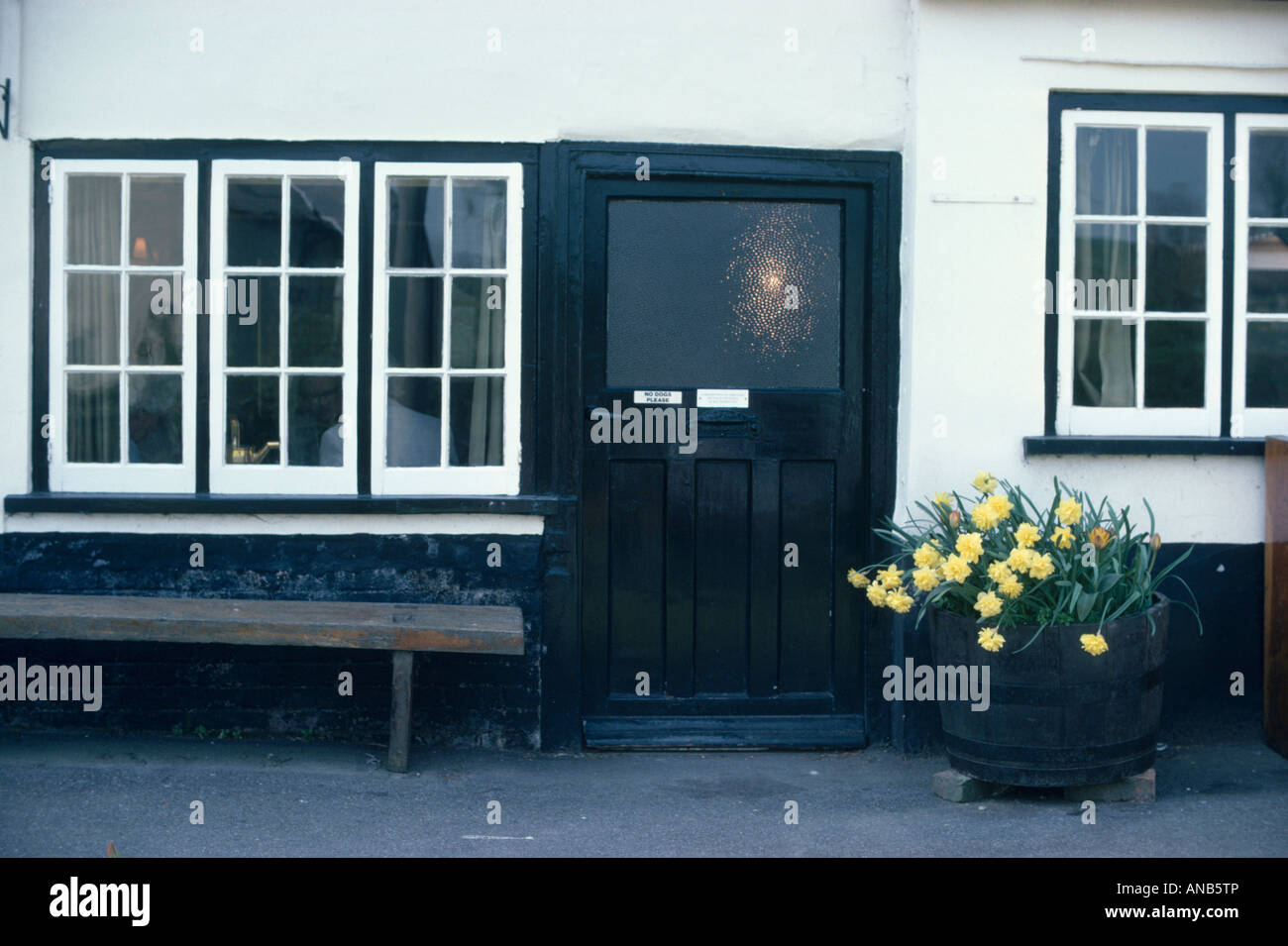 Panca in legno e Yellow Daffodils in pot esterno cottage bianco con il nero della porta anteriore Foto Stock