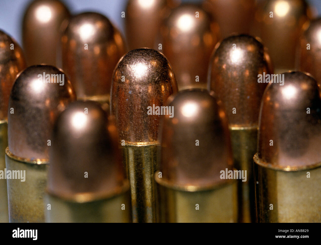 Dettaglio del 25 proiettili calibro in ottone lucido capi Foto Stock