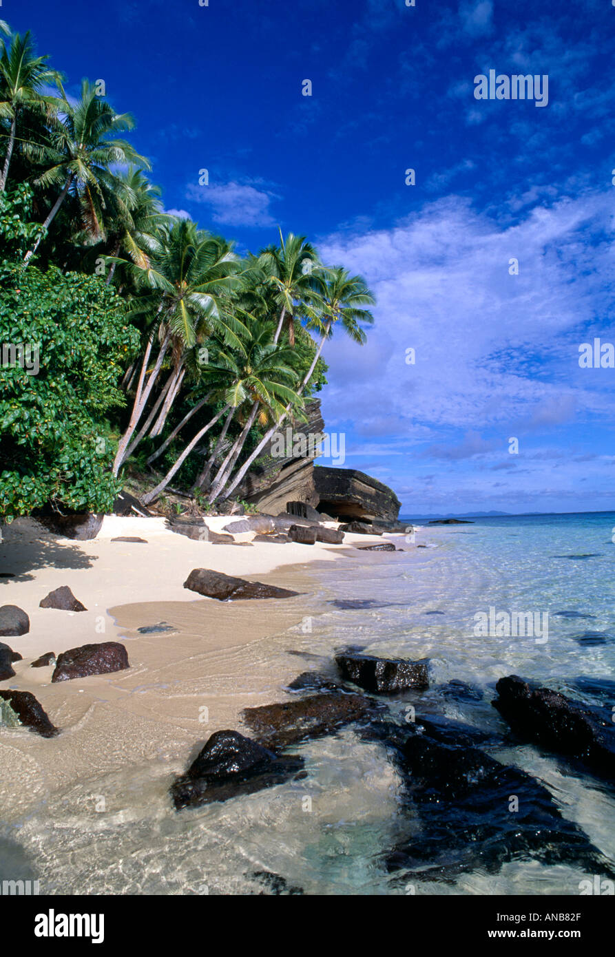 Isole Figi Raranetingga Raranitingga uninhabitied island beach Foto Stock