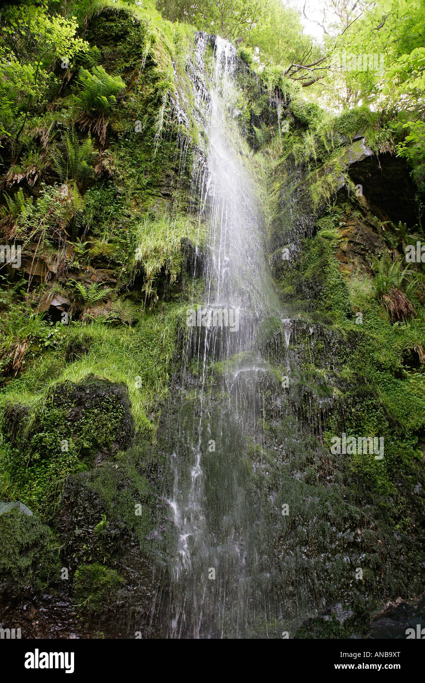 Cascata nello Yorkshire del Nord Ovest Inghilterra Foto Stock