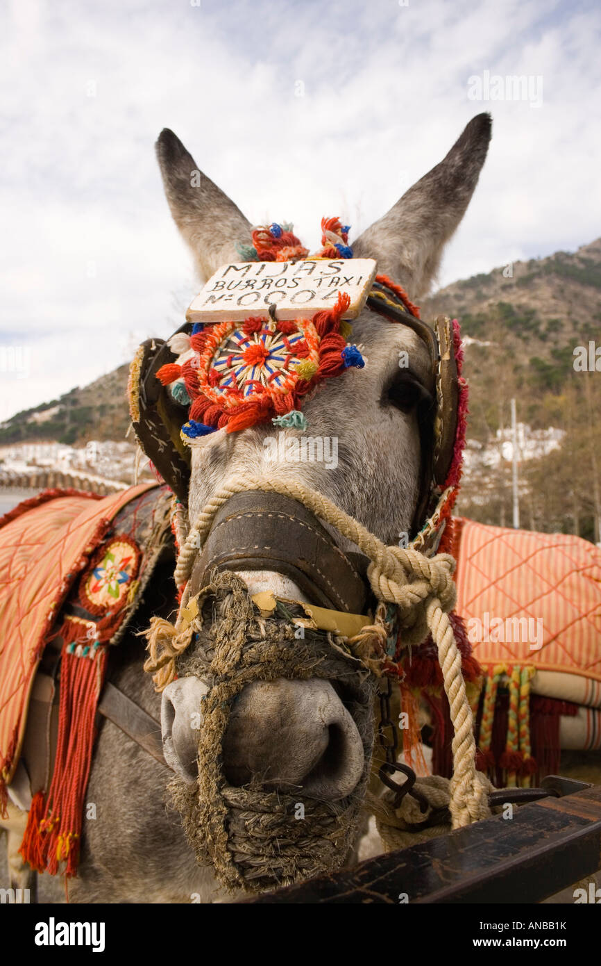Il villaggio di Mijas Provincia di Malaga Andalusia Spagna mijas Burros Taxi Foto Stock