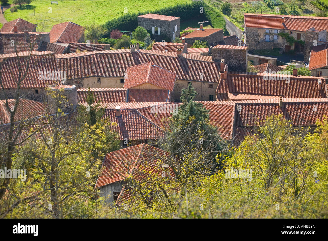 Una vista sulla red-tetti di tegole di Usson (Puy de Dôme - Francia). Vue aérienne des allasua du village d' Usson (Puy de Dôme - Francia) Foto Stock