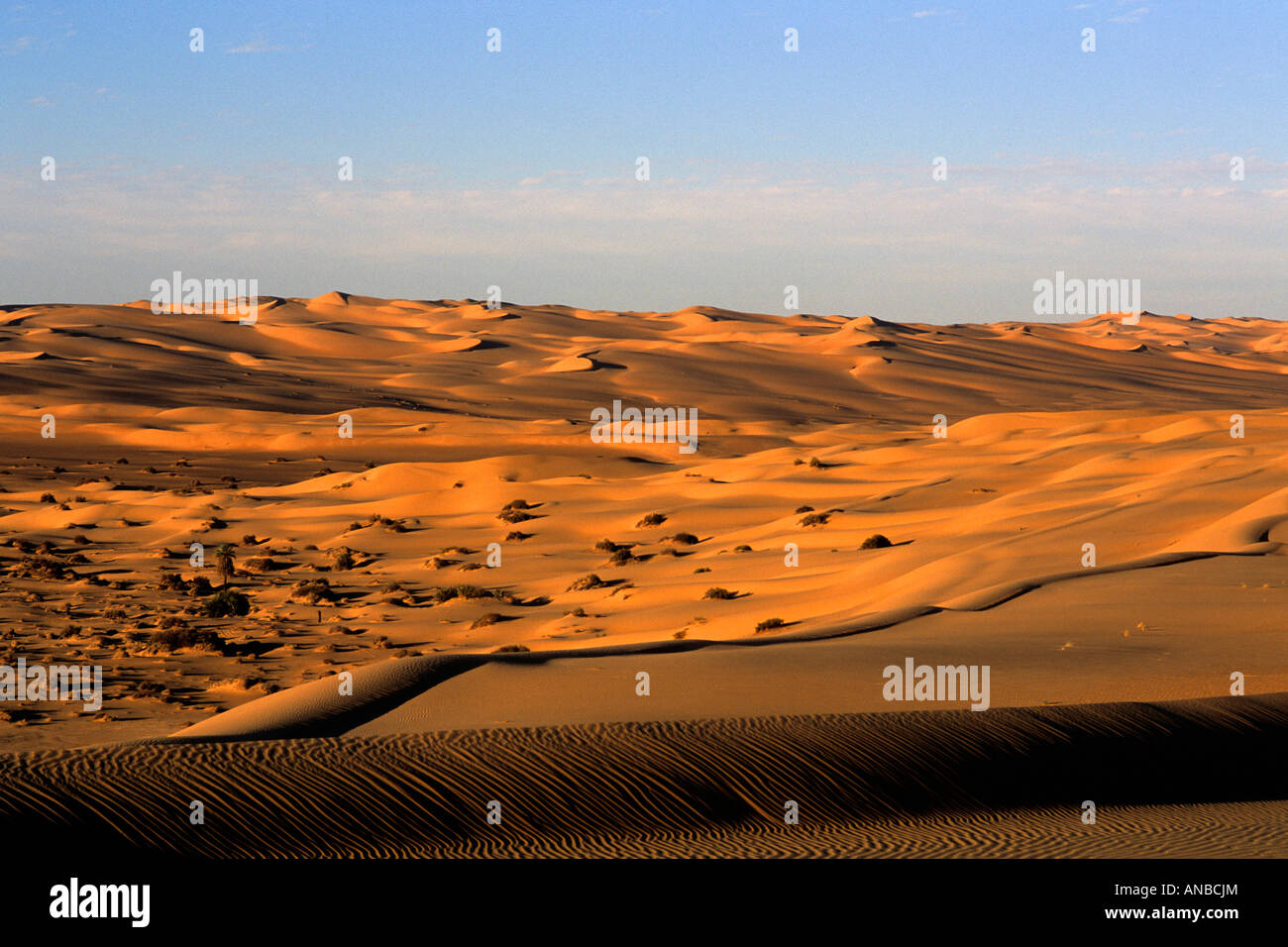 Vista panoramica delle dune di Erg Awbari Foto Stock