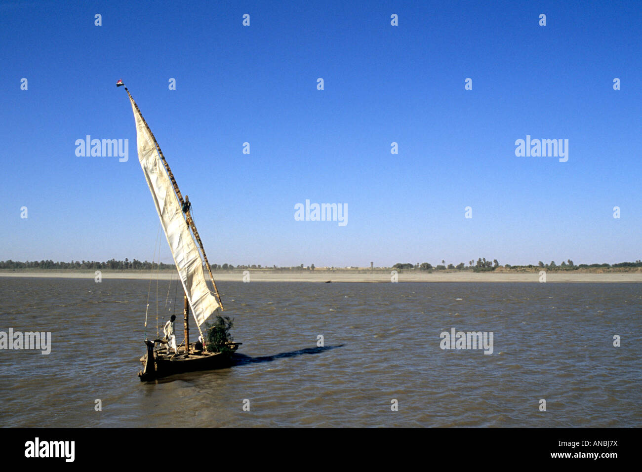 Una barca a vela sul Fiume Nilo Foto Stock
