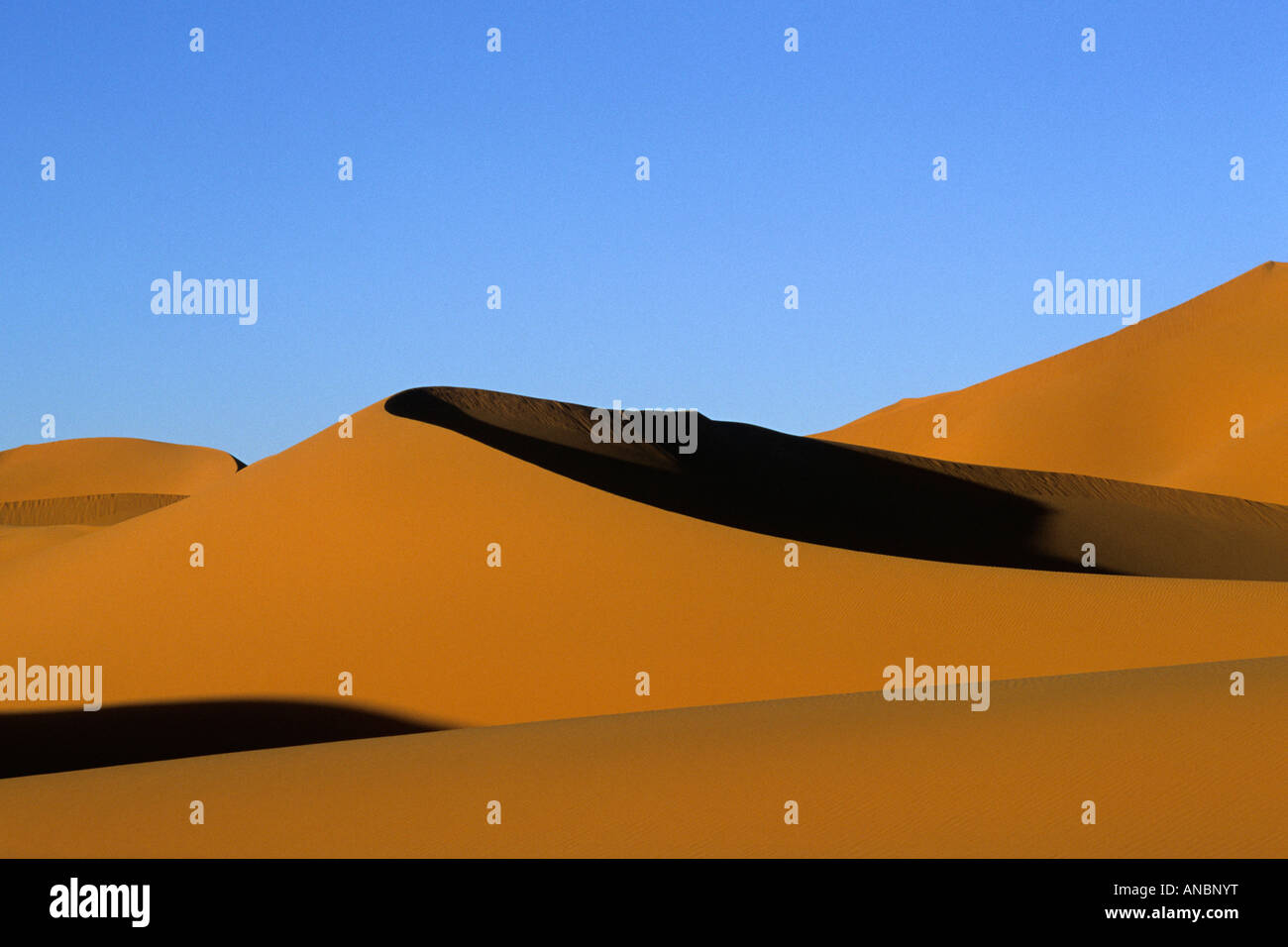 Paesaggio di dune nel deserto algerino Foto Stock
