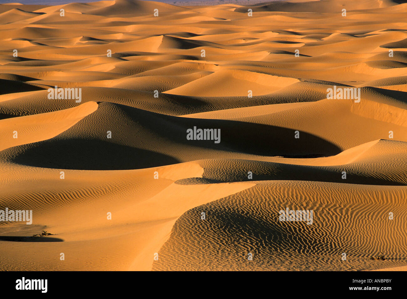 Erg o mare di dune nel deserto Tifernine Foto Stock
