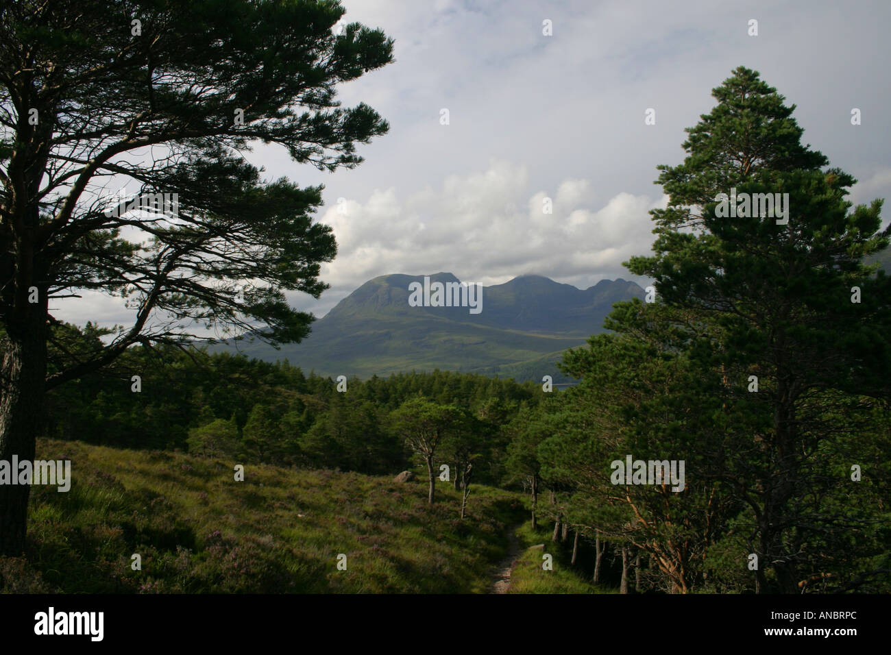 Beinn Alligin dal Ben Damh Foto Stock