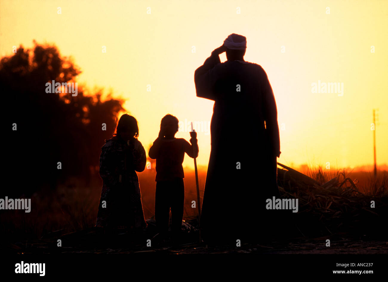 Cisgiordania Luxor Egitto famiglia guardando il tramonto Foto Stock