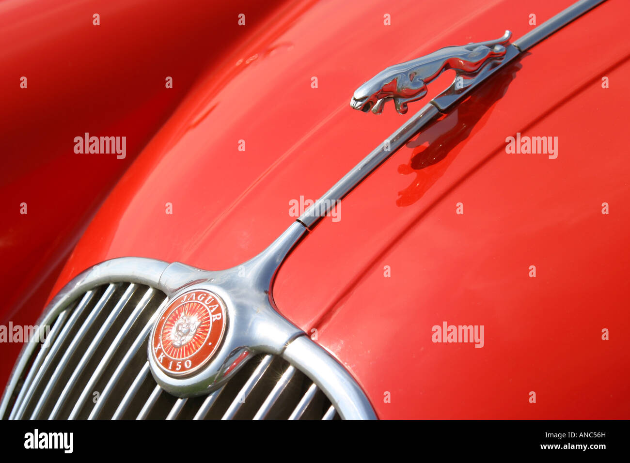 Chiusura del cofano ornamento su una Jaguar XK150 Foto Stock