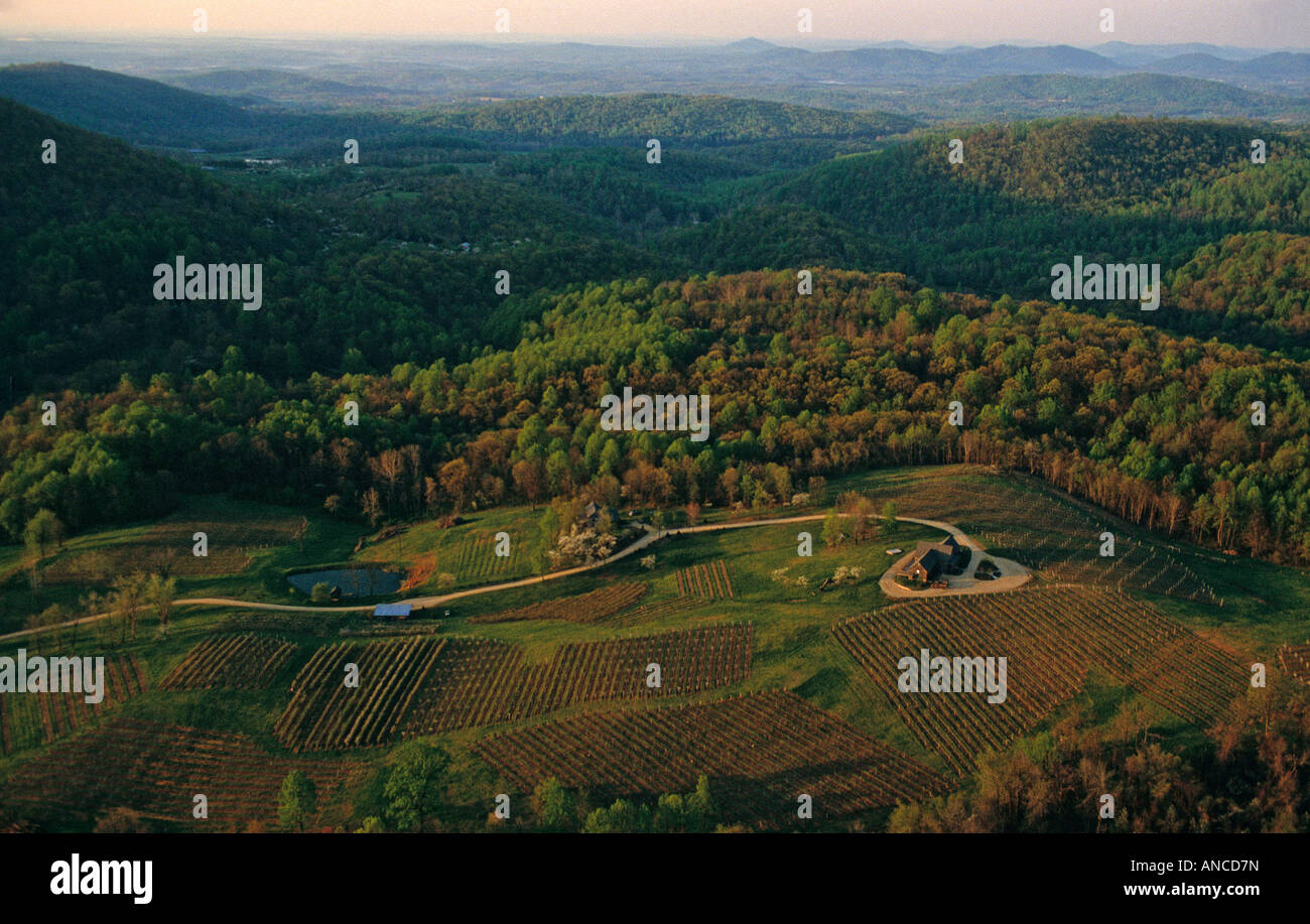 Antenna, Linden, frutteti e vigneti, Warren County, santificò terra, Virginia Foto Stock