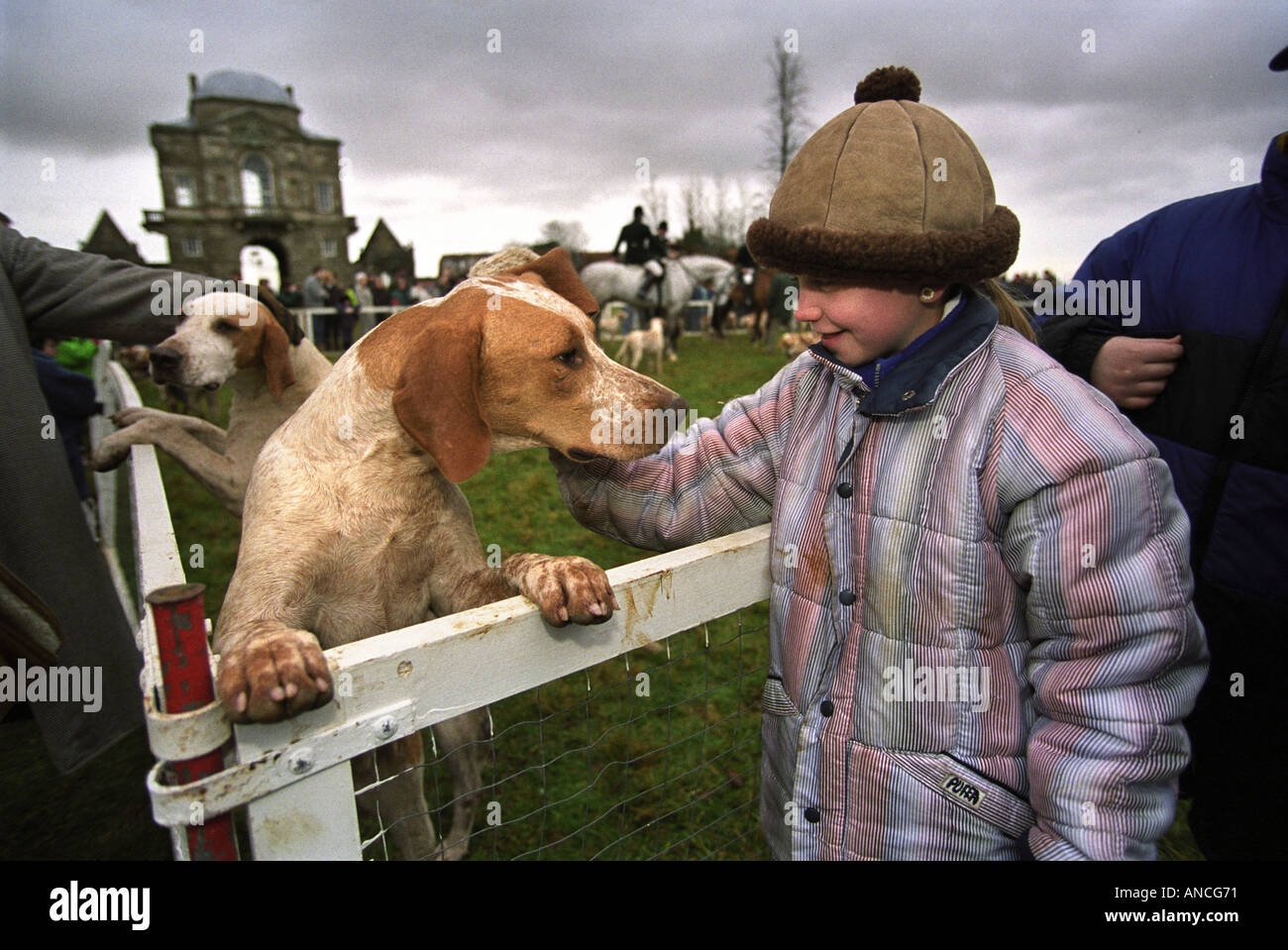 Il Beaufort caccia a un boxing day meeting al Worcester lodge vicino a loro BADMINTON CANILI SOUTH GLOUCESTERSHIRE REGNO UNITO Foto Stock