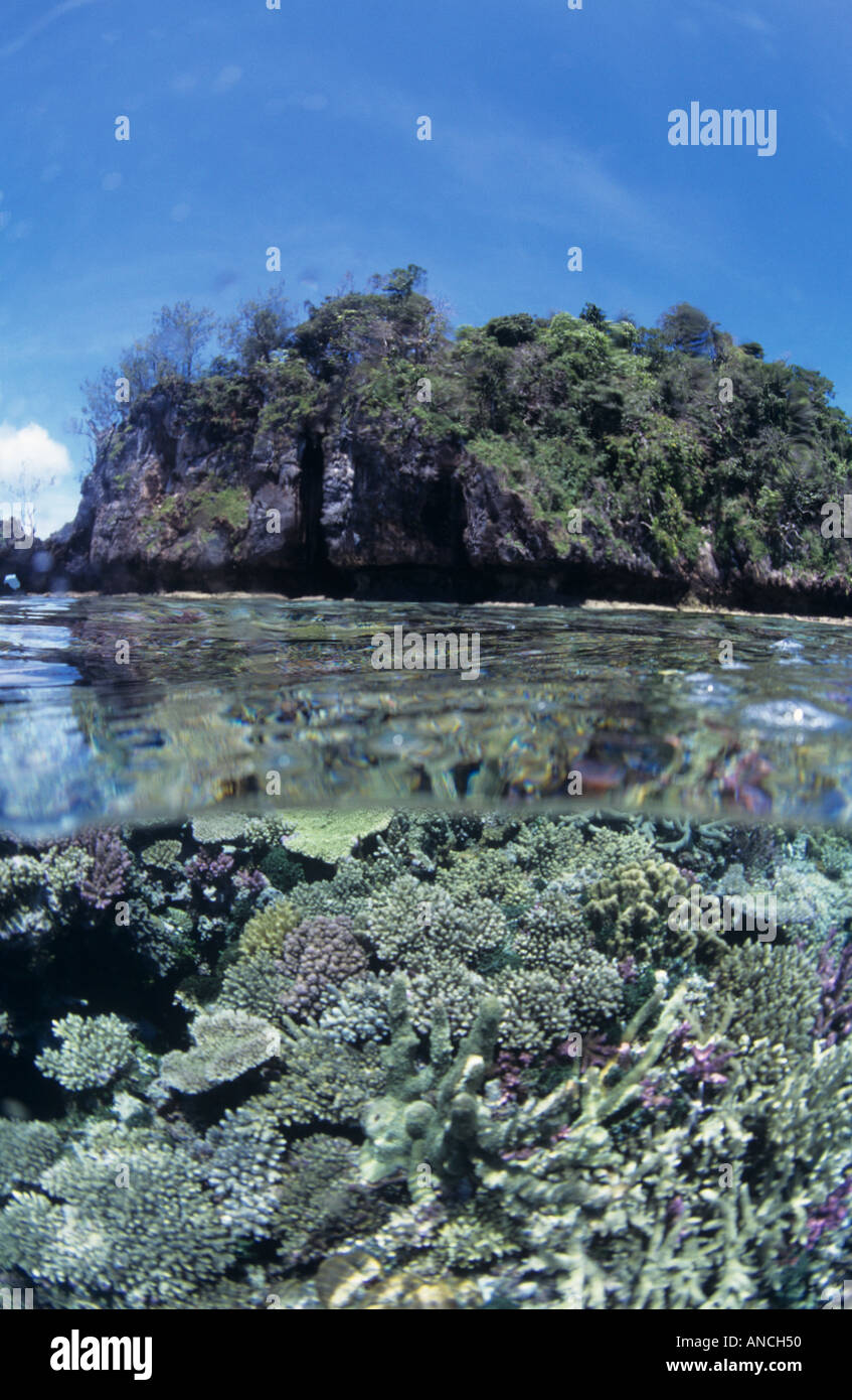 Pristine Coral reef split shot Milne Bay Papua Nuova Guinea Foto Stock