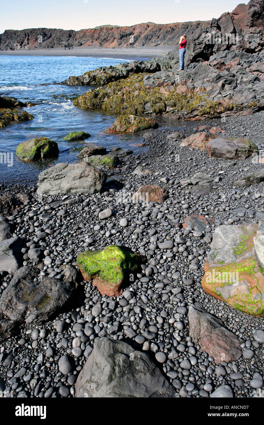 Rocce basaltiche pestate in liscia pietre sedimentarie penisola Snaefellsnes Islanda Costa Djupalonssandur Foto Stock
