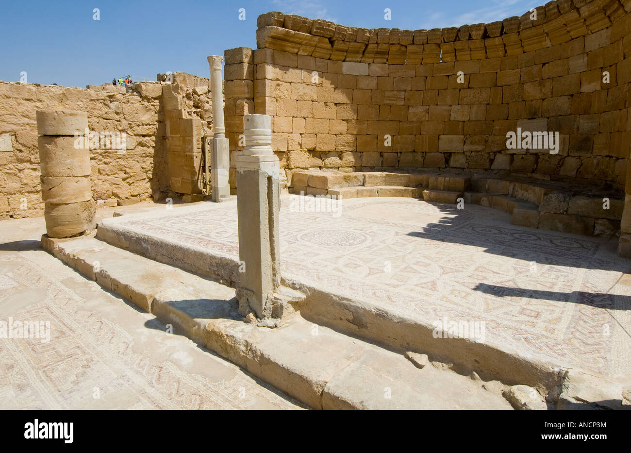 Vista del pavimento a mosaico che conduce alla modifica del western (Nile) chiesa nell'antica città Nabatean di Mamshit, Israele Foto Stock