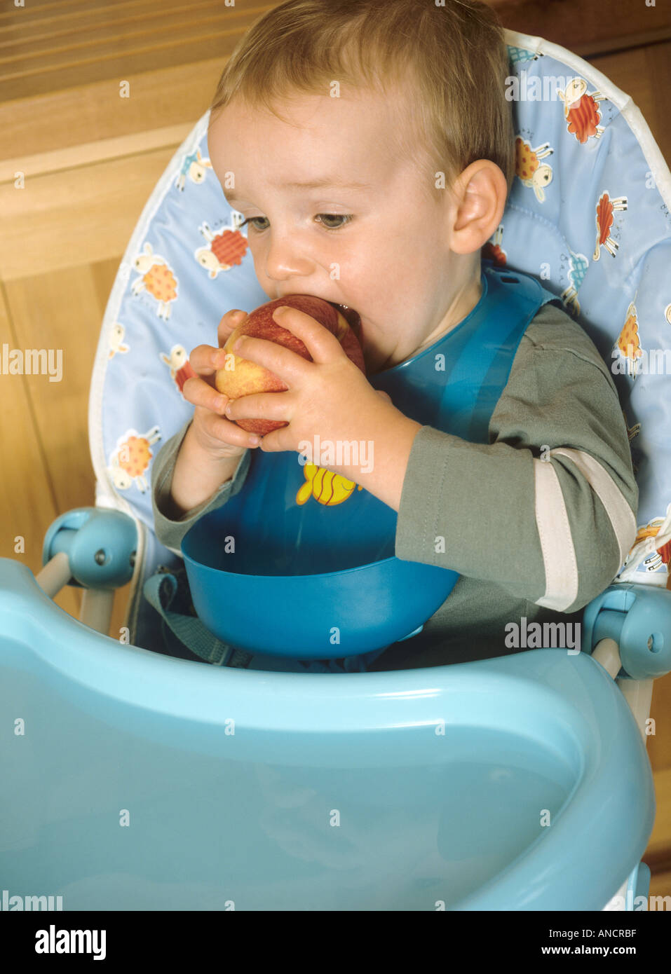 Ragazzo seduto in un seggiolone di mangiare un Apple Foto Stock