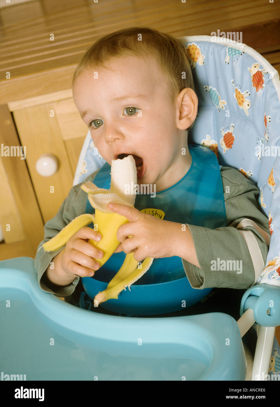 Ragazzo seduto in un seggiolone di mangiare una banana Foto Stock