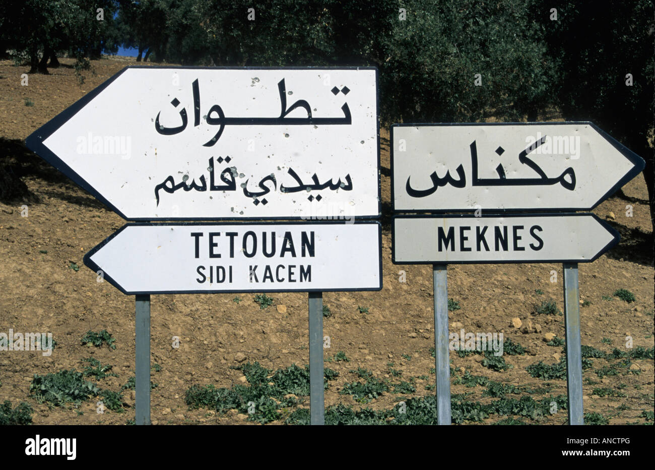 I cartelli stradali in alfabeto arabo vicino a Volubilis Marocco Foto Stock