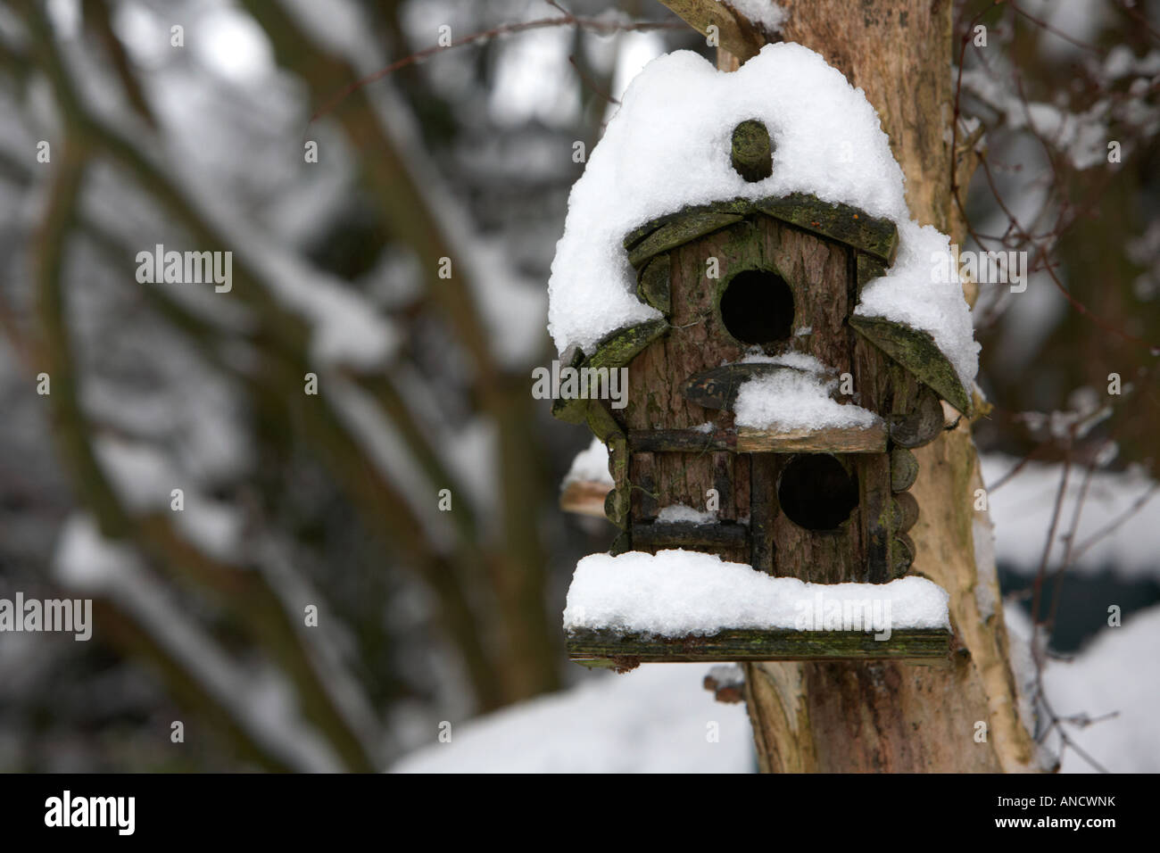 Piccolo log in legno birdhouse coperto di neve profonda appeso a un albero in un giardino Foto Stock