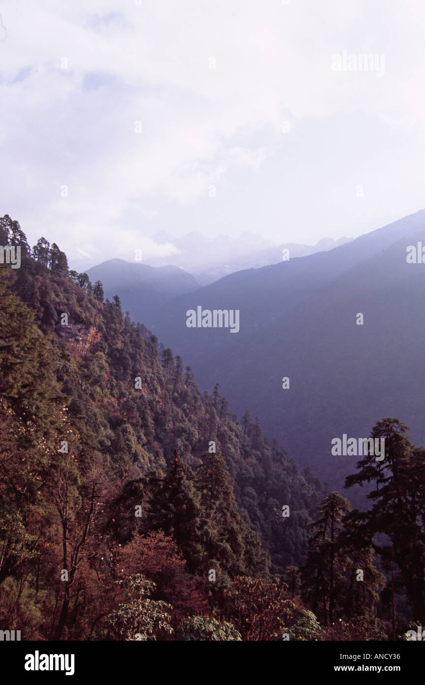 Valle sul sentiero per Tsokha, Sikkim, India Foto Stock