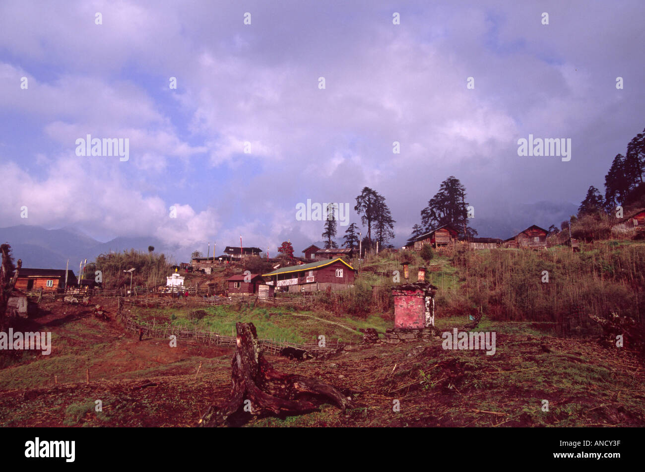 Vista del villaggio di Tsokha, Sikkim, India Foto Stock