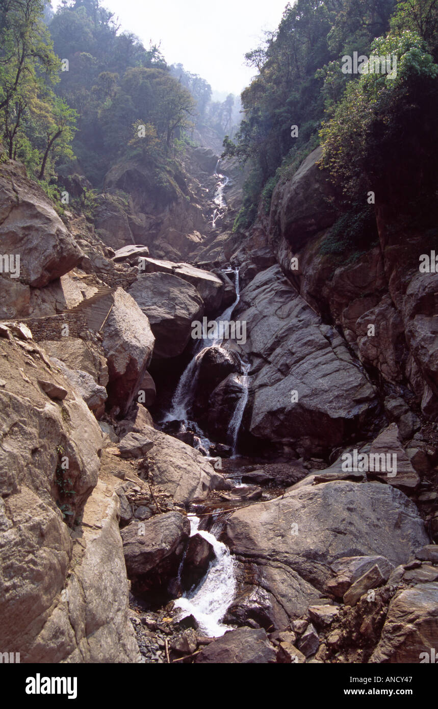 Ruscello di montagna sul sentiero di Tsokha, Sikkim, India Foto Stock
