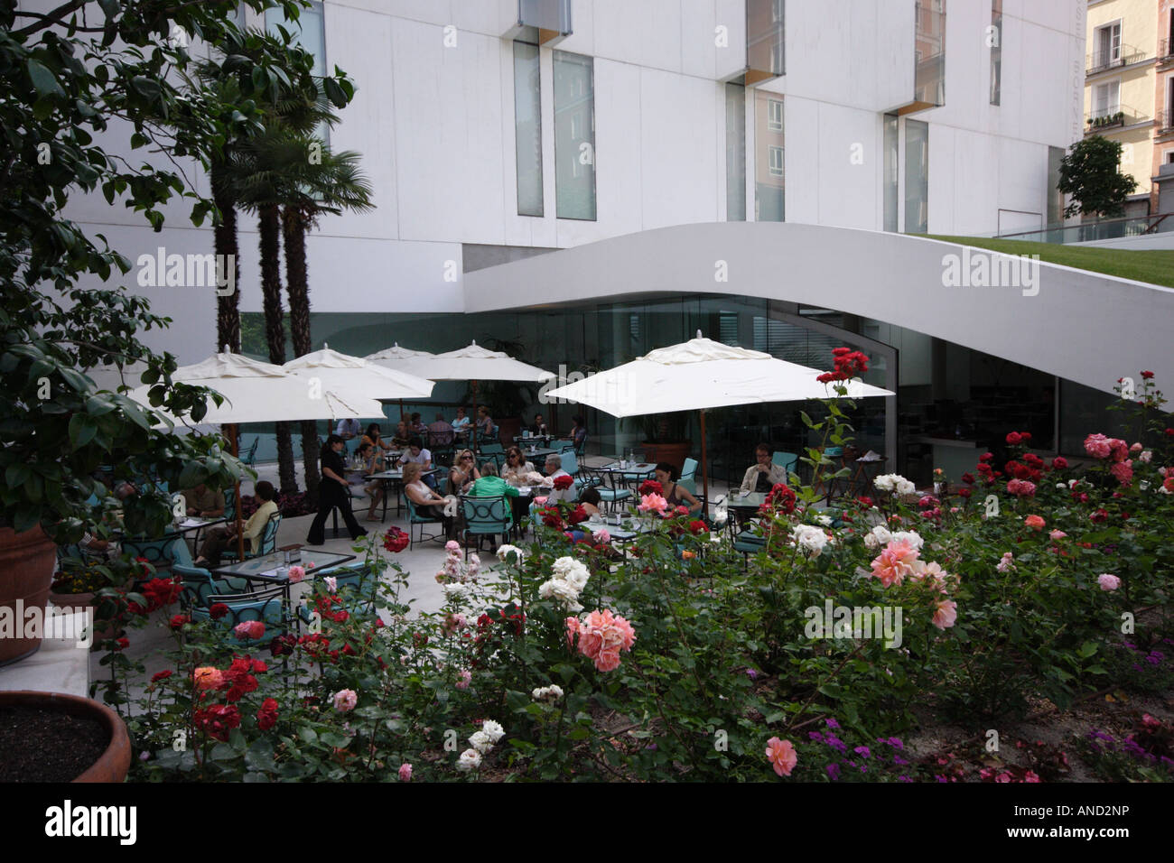 Caffetteria sulla Terrazza del Museo Thyssen Bornemisza, Madrid, Spagna Foto Stock