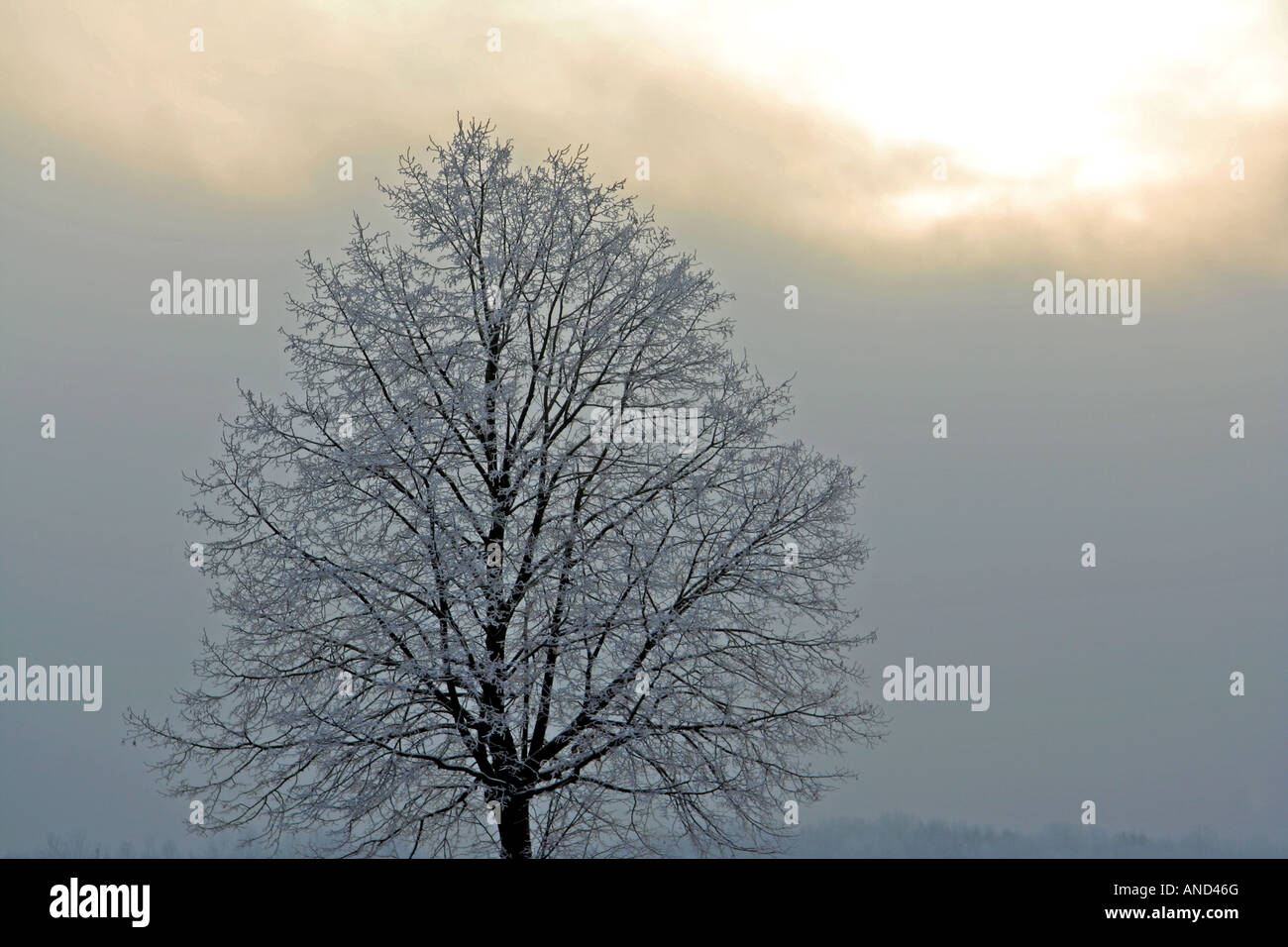 Struttura smerigliata nel paesaggio invernale Baviera Germania Europa Foto Stock