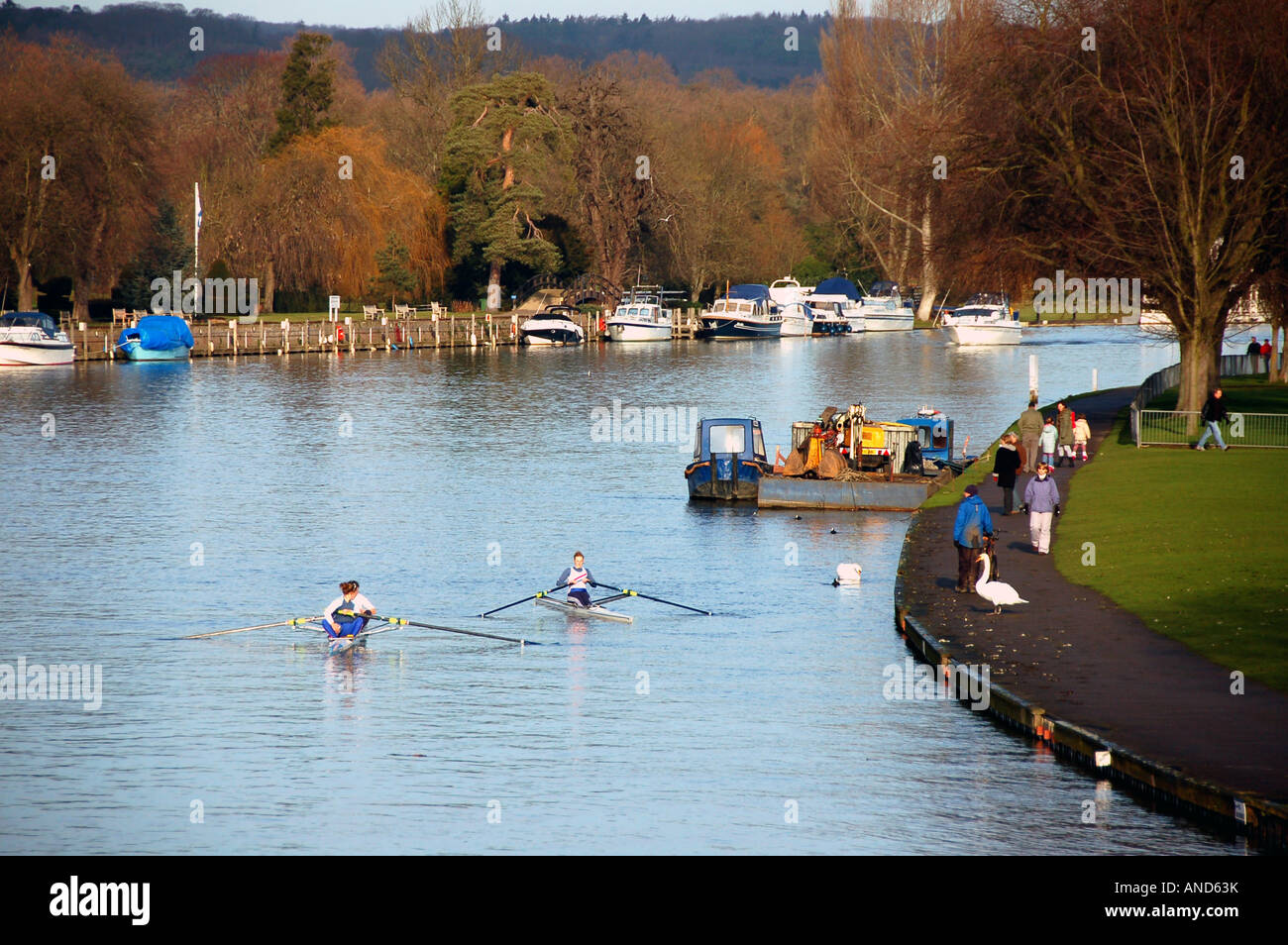 Canottaggio sul fiume Tamigi a Henley-on-Thames, Regno Unito Foto Stock