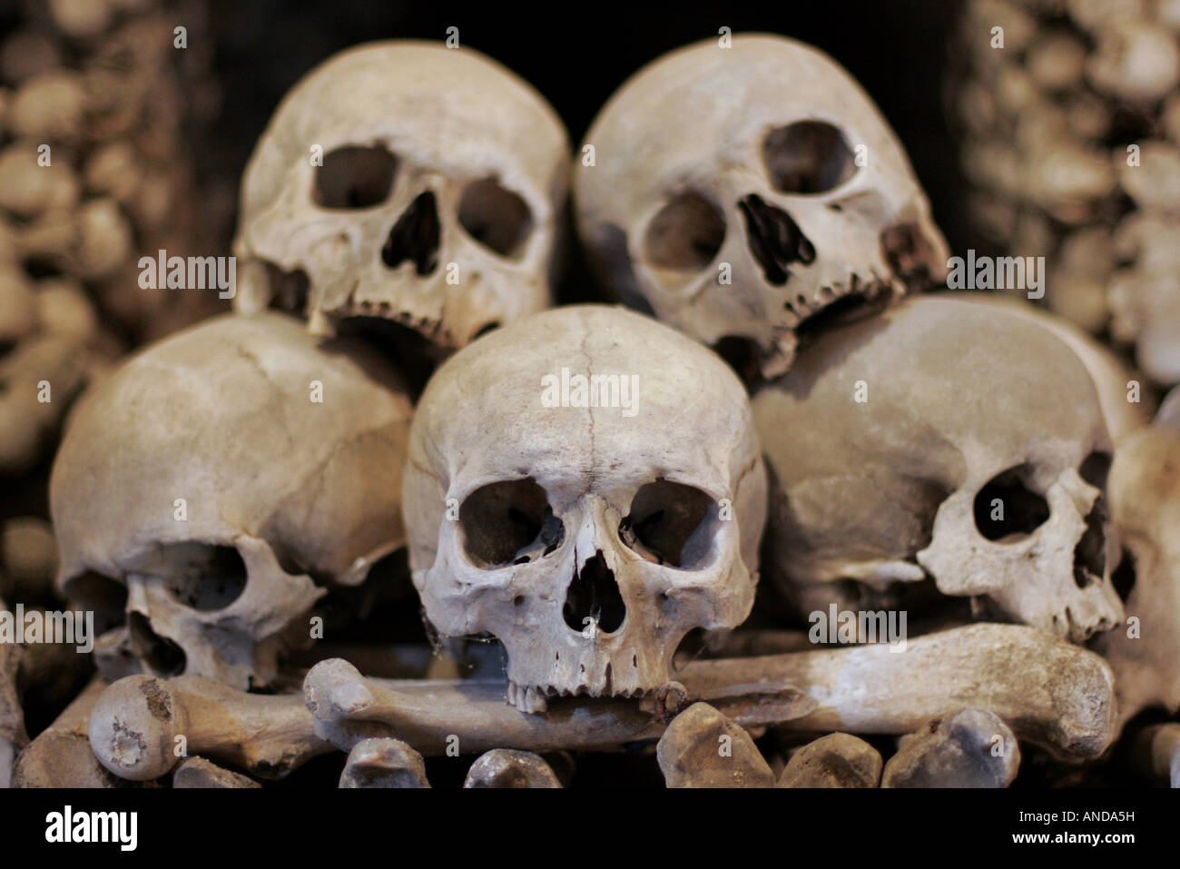 Teschi umani e ossa nel Kostnica ossario di Sedlec vicino a Kutna Hora Repubblica Ceca Foto Stock
