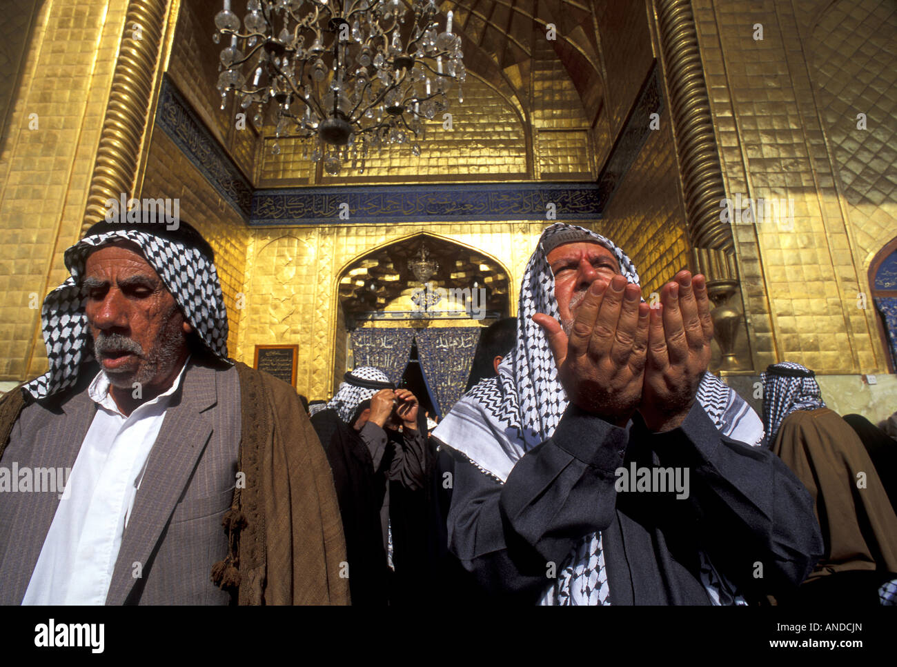 Gli sciiti pregando nel Mosque di Imam Ali Nacaf Iraq Foto Stock