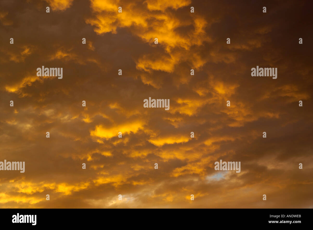Nuvole nel cielo al tramonto Foto Stock