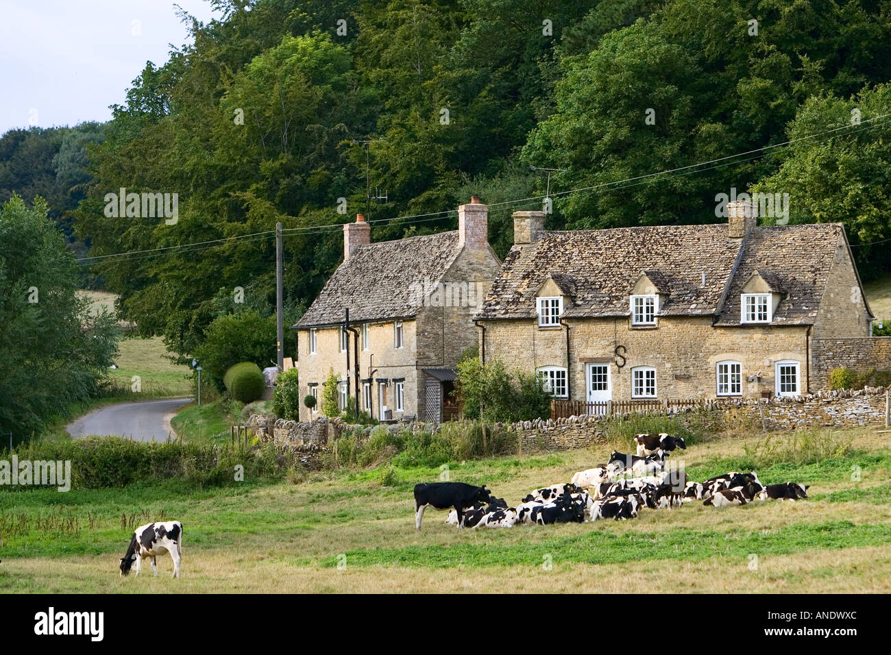 Pittoreschi cottage e mucche frisone Swinbrook Cotswolds Oxfordshire, Regno Unito Foto Stock