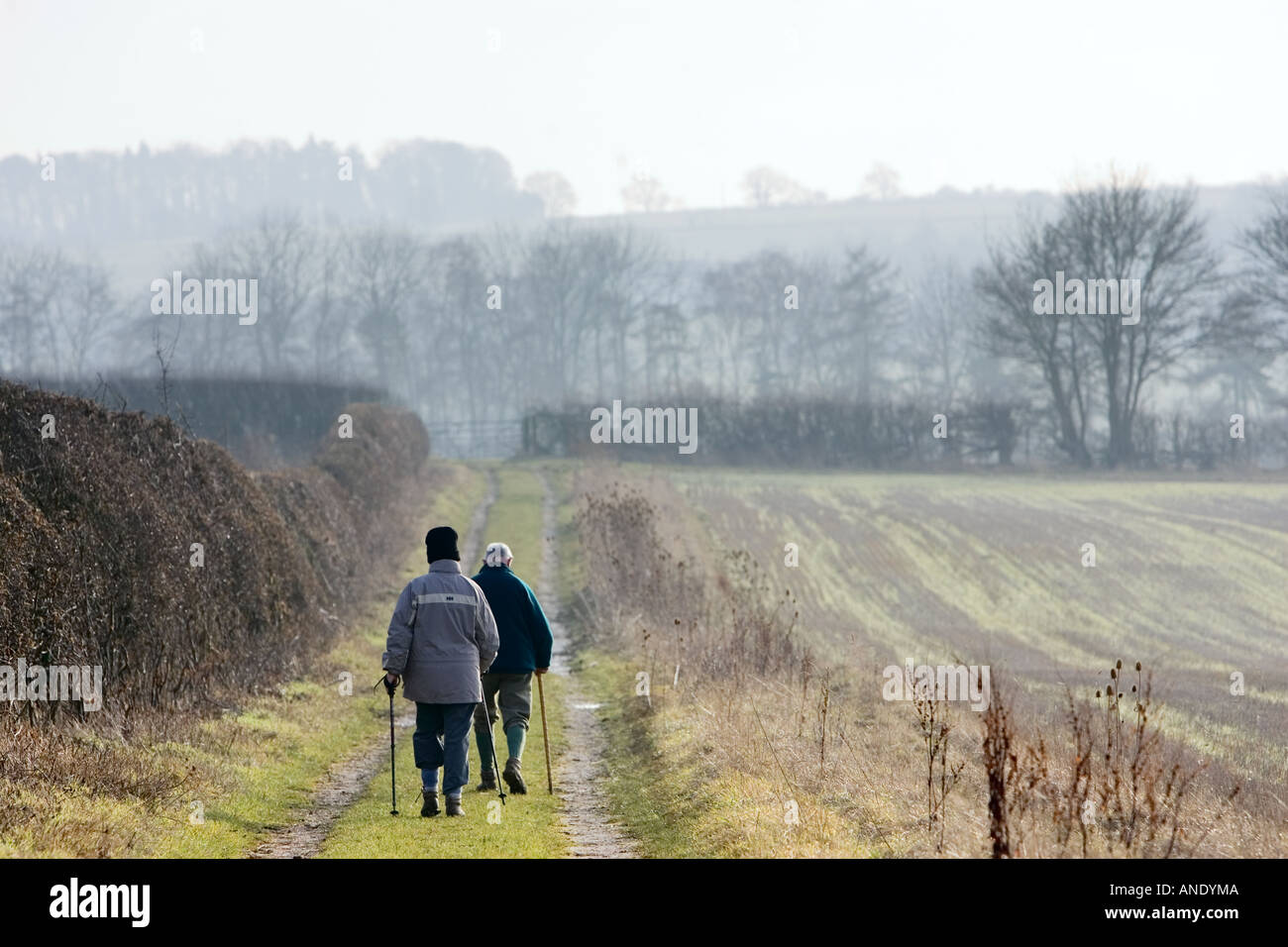 Ramblers nel Cotswolds Gloucestershire Regno Unito Foto Stock