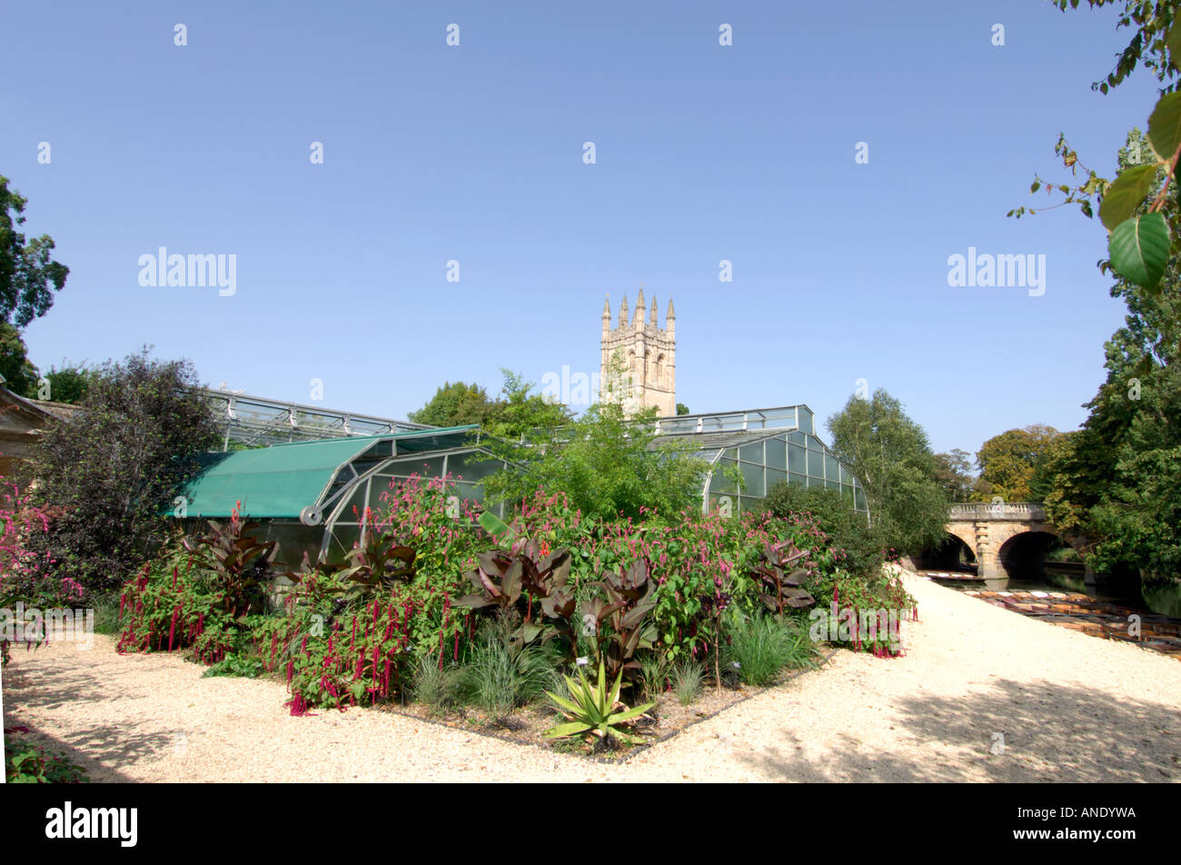 Serre in Oxford University Botanic Garden e il Magdalen Tower Foto Stock