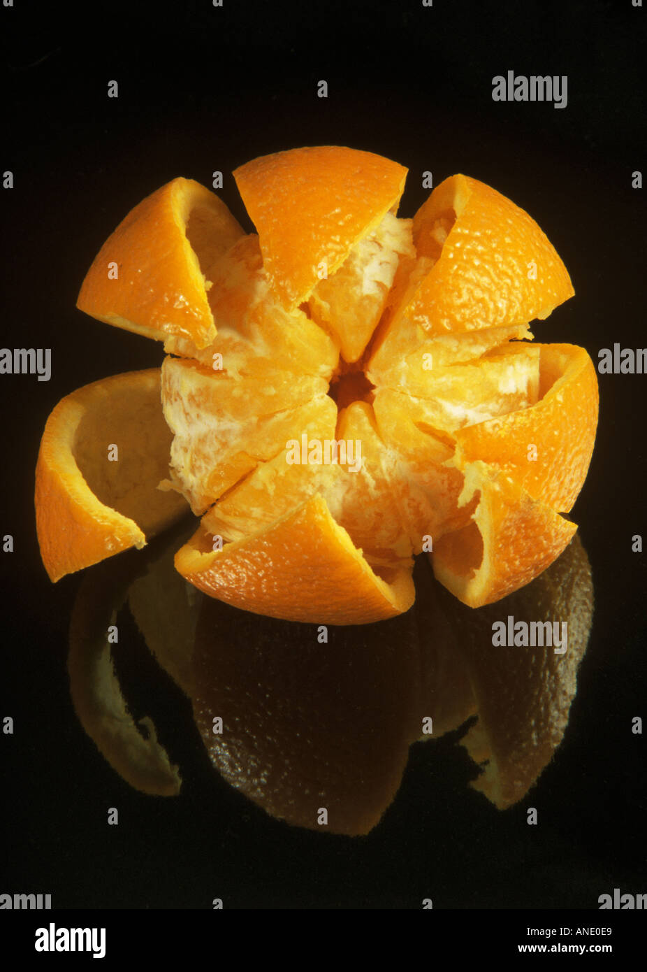 Un arancione essendo umwrapped da esso s proprio imballaggio naturale Foto Stock