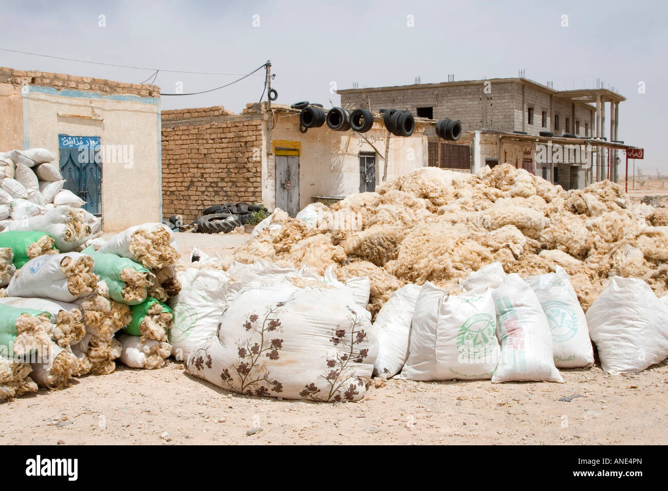 Bir al Ghanem, a Sud di Tripoli, in Libia. Raw sacchetti non ripuliti di lana in attesa di pick up Foto Stock