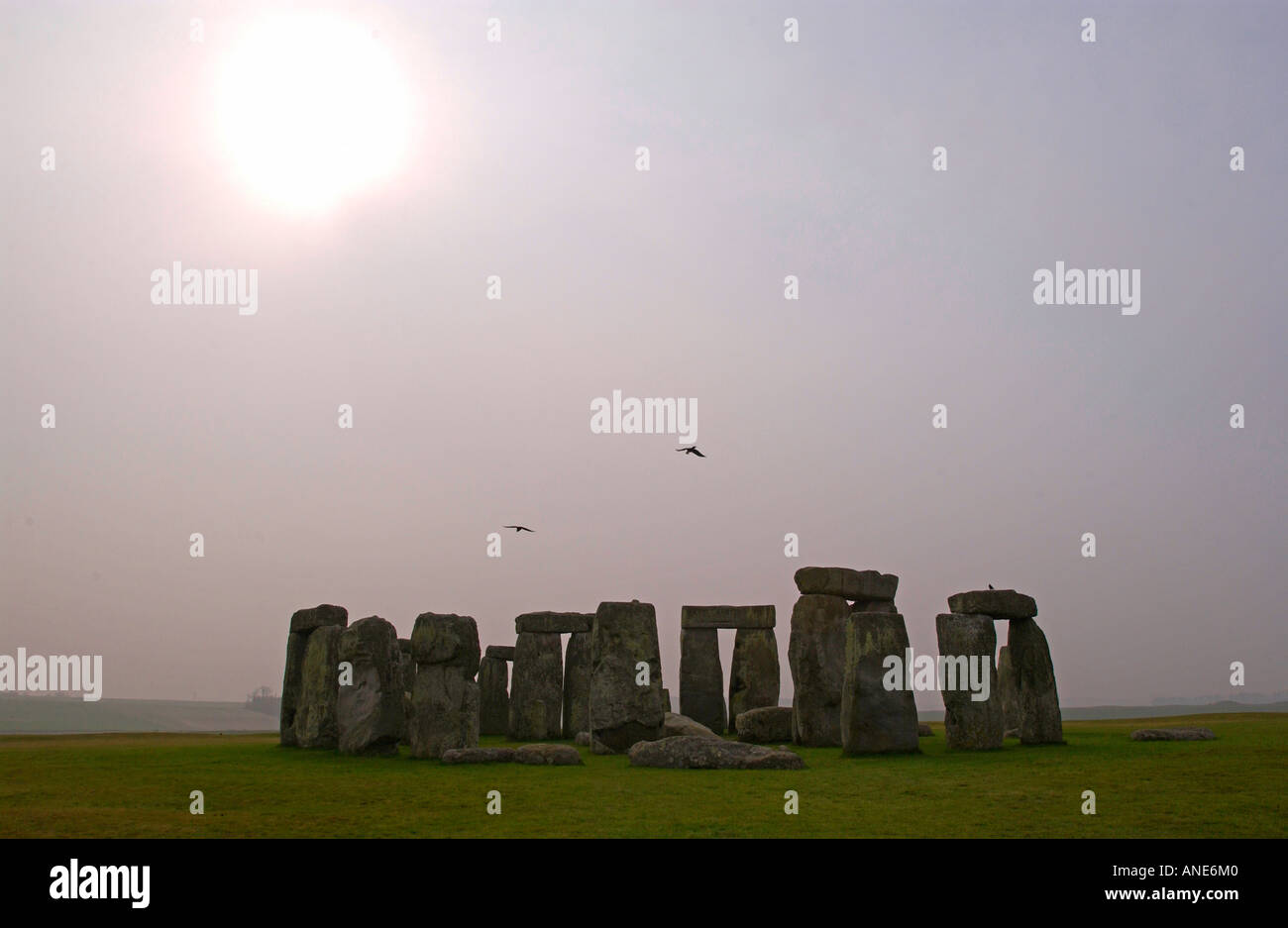 Stonehenge Salisbury Plain nel WILTSHIRE REGNO UNITO Foto Stock