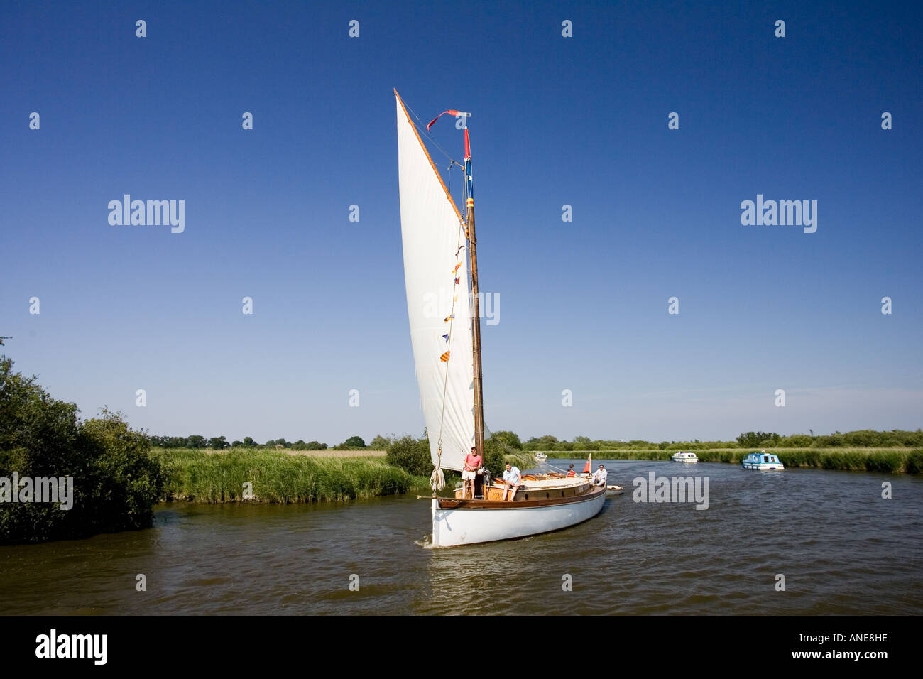 Barca a vela su il Parco Nazionale Broads del Norfolk Regno Unito Foto Stock