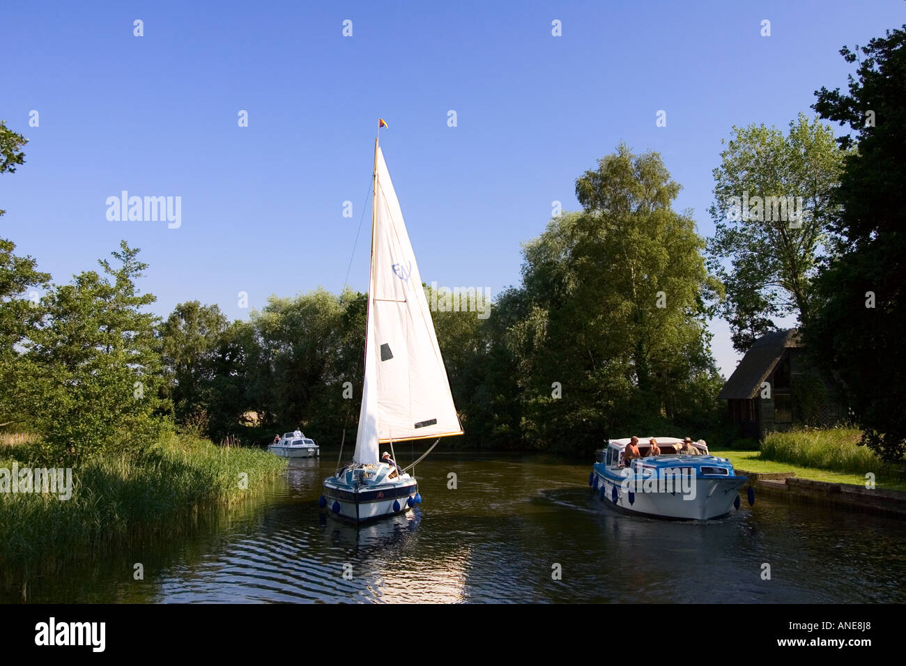 Barca a vela e crociere sul fiume su il Parco Nazionale Broads del Norfolk Regno Unito Foto Stock
