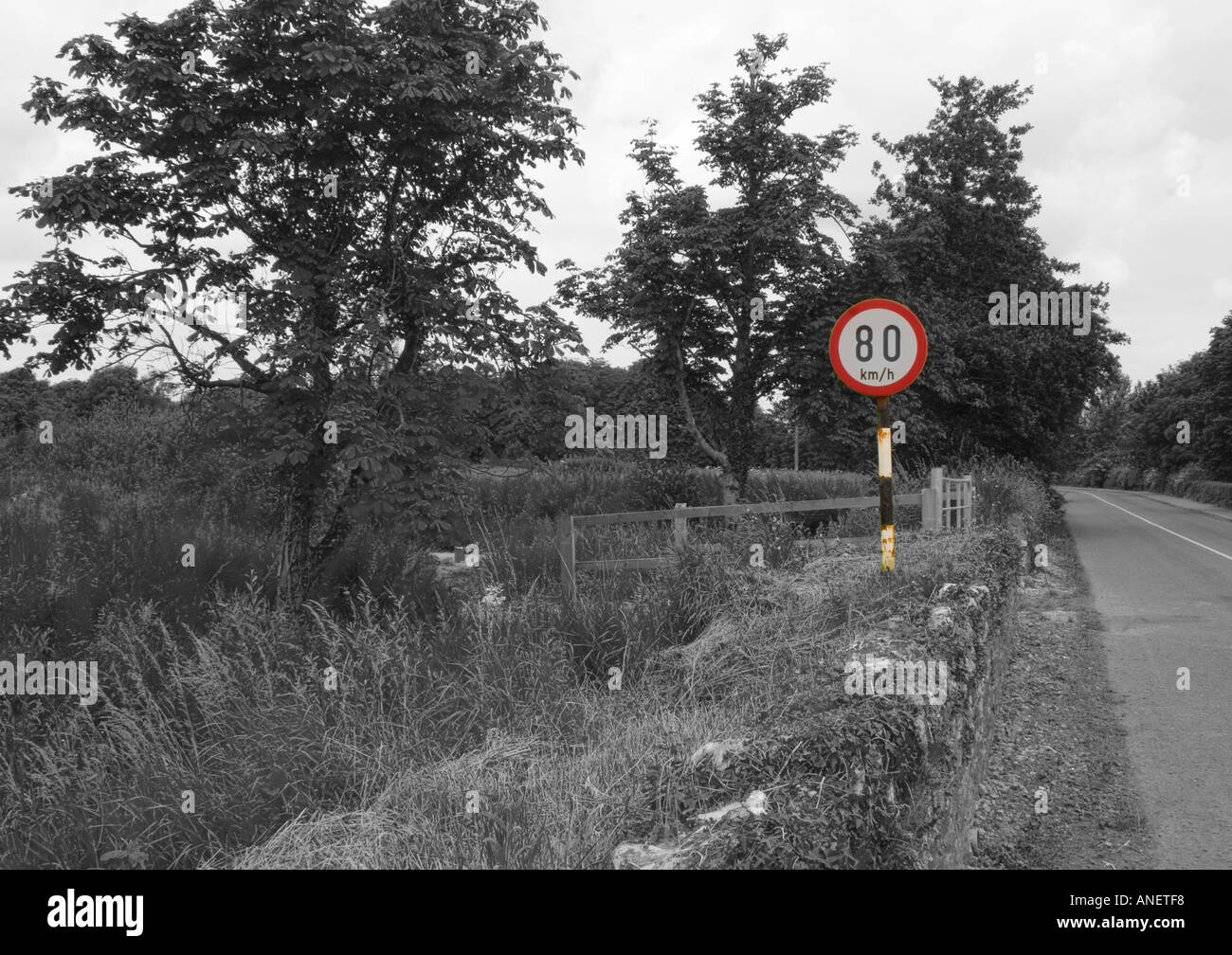 Cartello stradale sul paese irlandese Road. Ottanta chilometri il limite massimo di velocità. Segno di colore, strada in monotono. Foto Stock