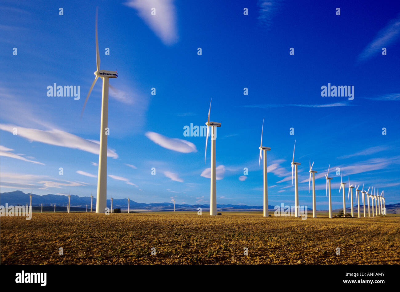 Mulini a vento producendo windpower, dei rulli di estrazione Creek, Alberta, Canada. Foto Stock