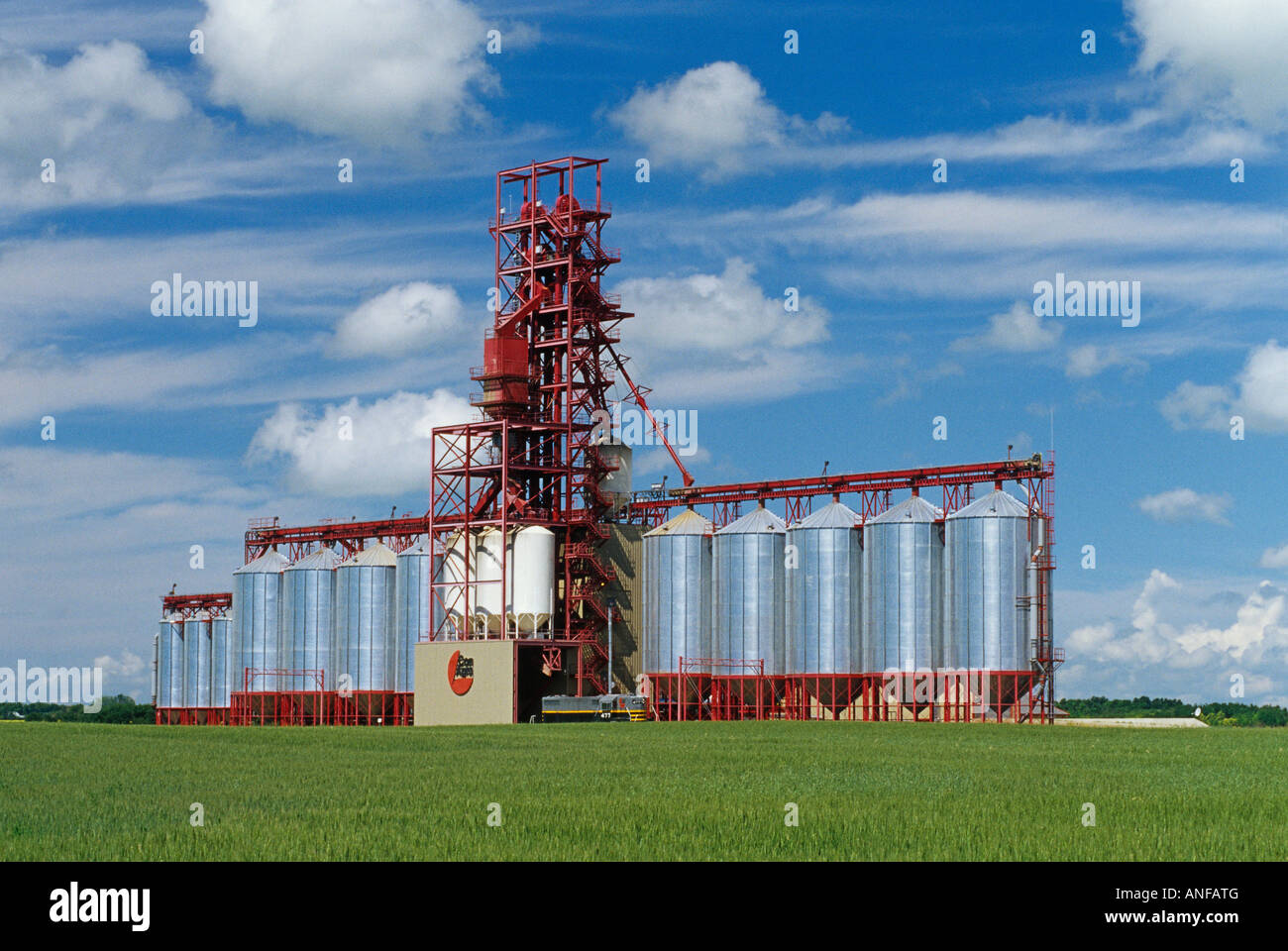 Throughput elevato di elevatore della granella e di frumento, Nesbit, Manitoba, Canada. Foto Stock