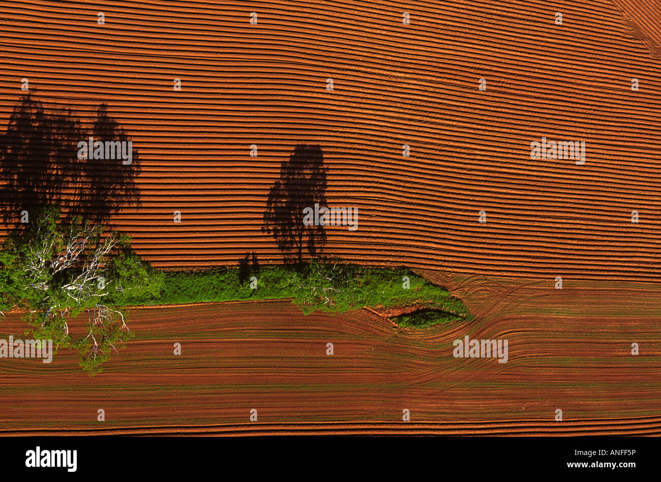 Antenna di campo arato, Prince Edward Island, Canada Foto Stock