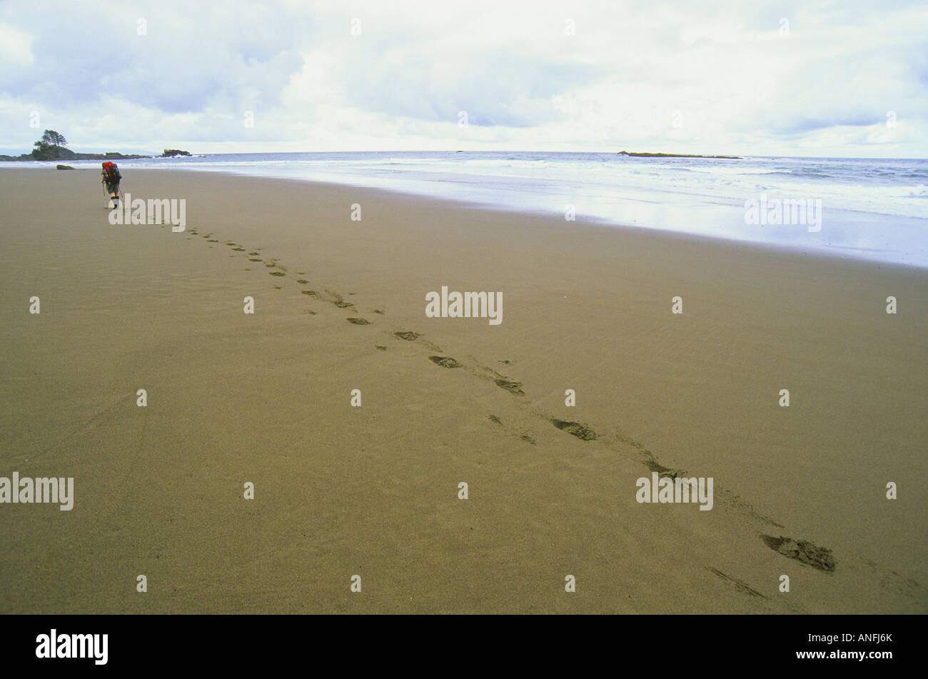 Una giovane donna passeggiate lungo un solitario tratto di spiaggia¬†vicino al fiume Carmanah sulla West Coast Trail in Pacific Rim National Park ri Foto Stock