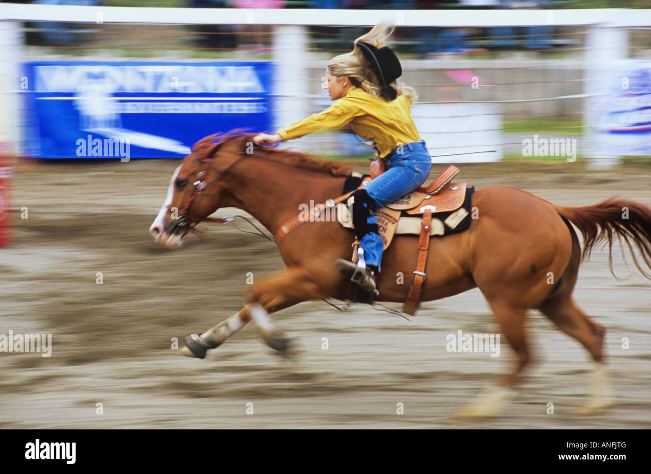 La donna in sella ad un cavallo al Luxton Pro Rodeo, Victoria, Isola di Vancouver, British Columbia, Canada. Foto Stock