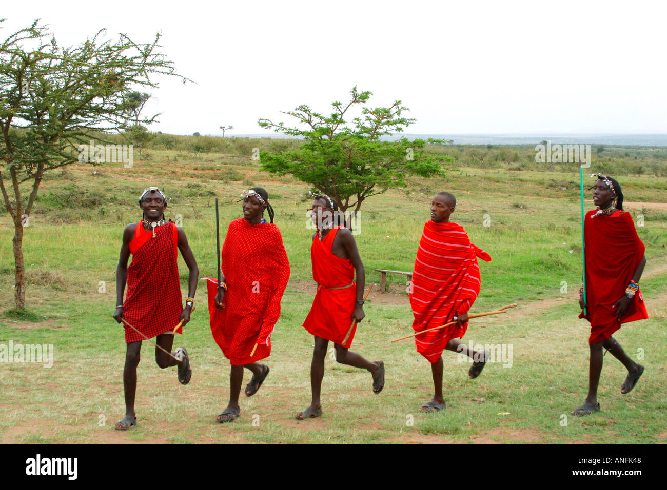 Guerrieri Maasai eseguire benvenuti danze Masai Mara villaggio tribale Kenya Africa orientale Foto Stock